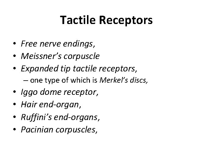 Tactile Receptors • Free nerve endings, • Meissner’s corpuscle • Expanded tip tactile receptors,