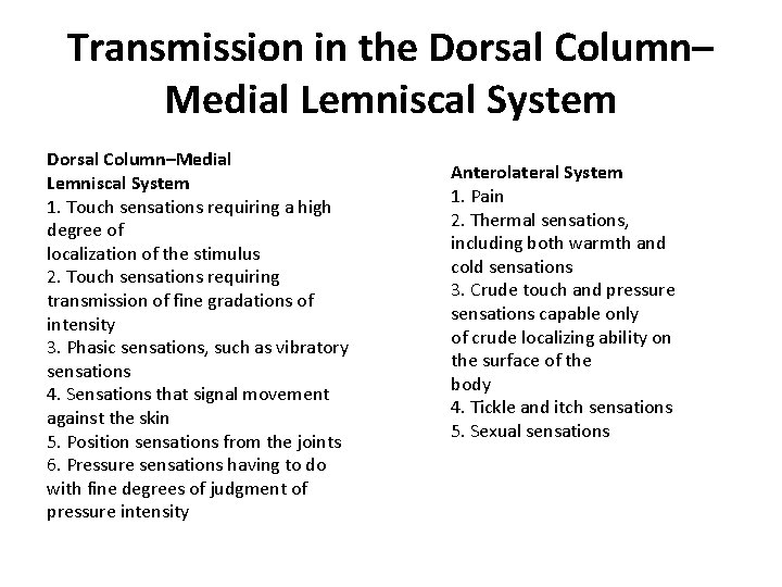 Transmission in the Dorsal Column– Medial Lemniscal System Dorsal Column–Medial Lemniscal System 1. Touch