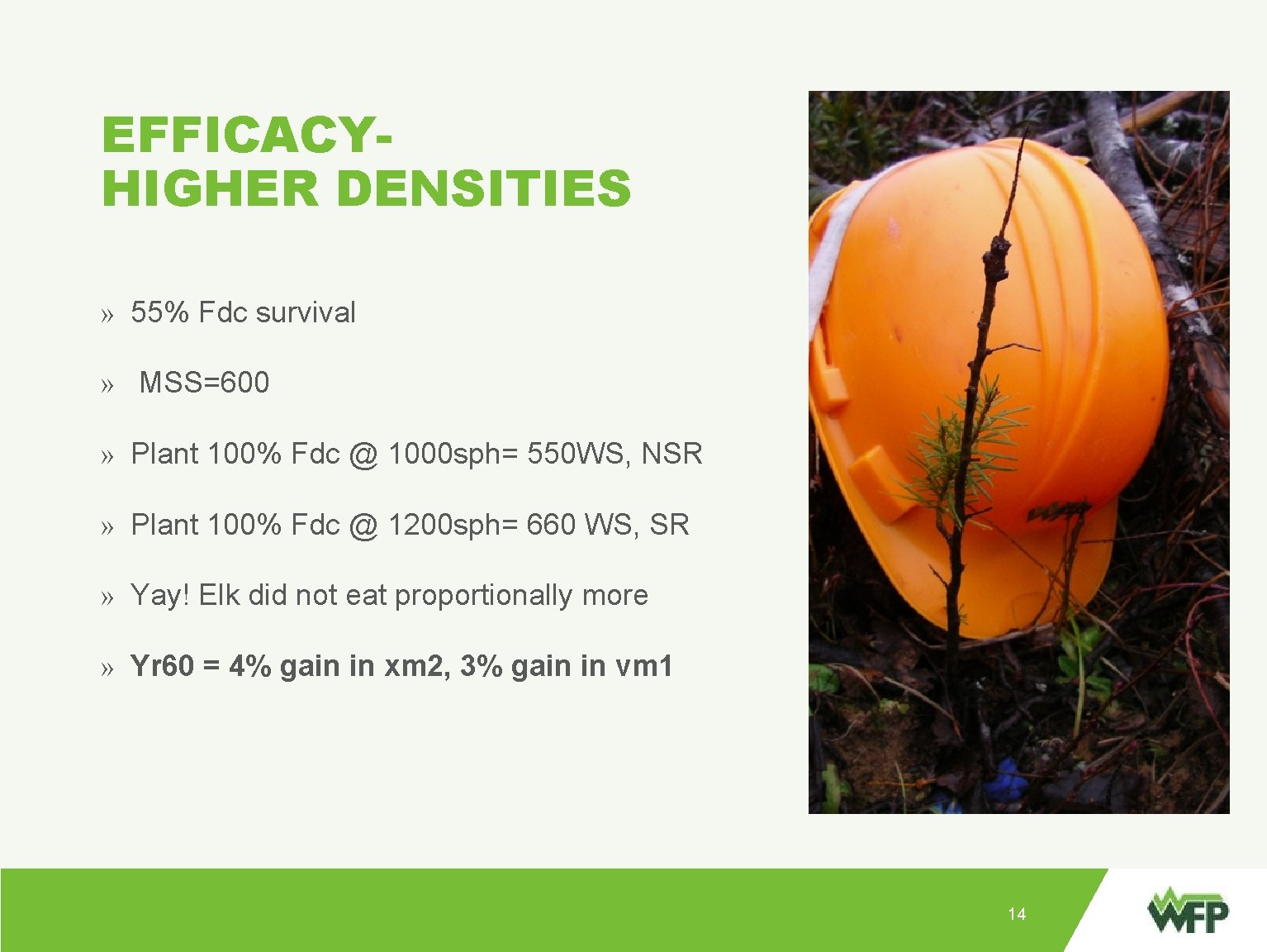 EFFICACYHIGHER DENSITIES » 55% Fdc survival » MSS=600 » Point: » Plant 100% Fdc