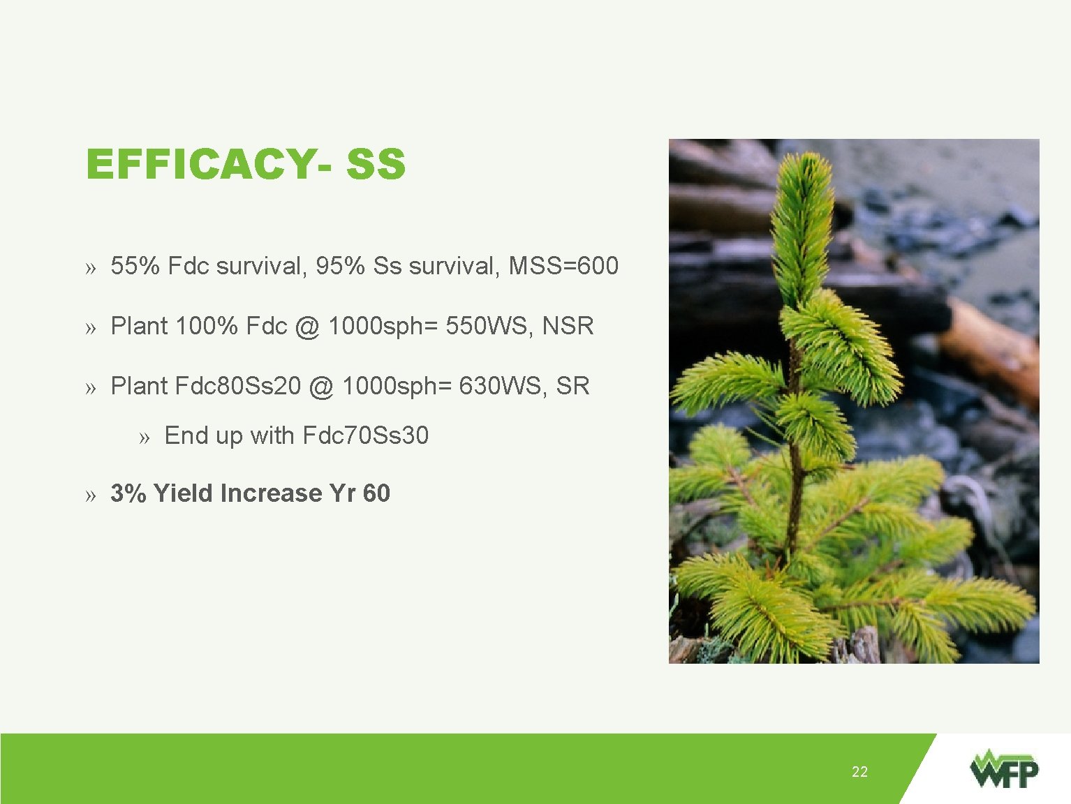 EFFICACY- SS » 55% Fdc survival, 95% Ss survival, MSS=600 » Plant 100% Fdc