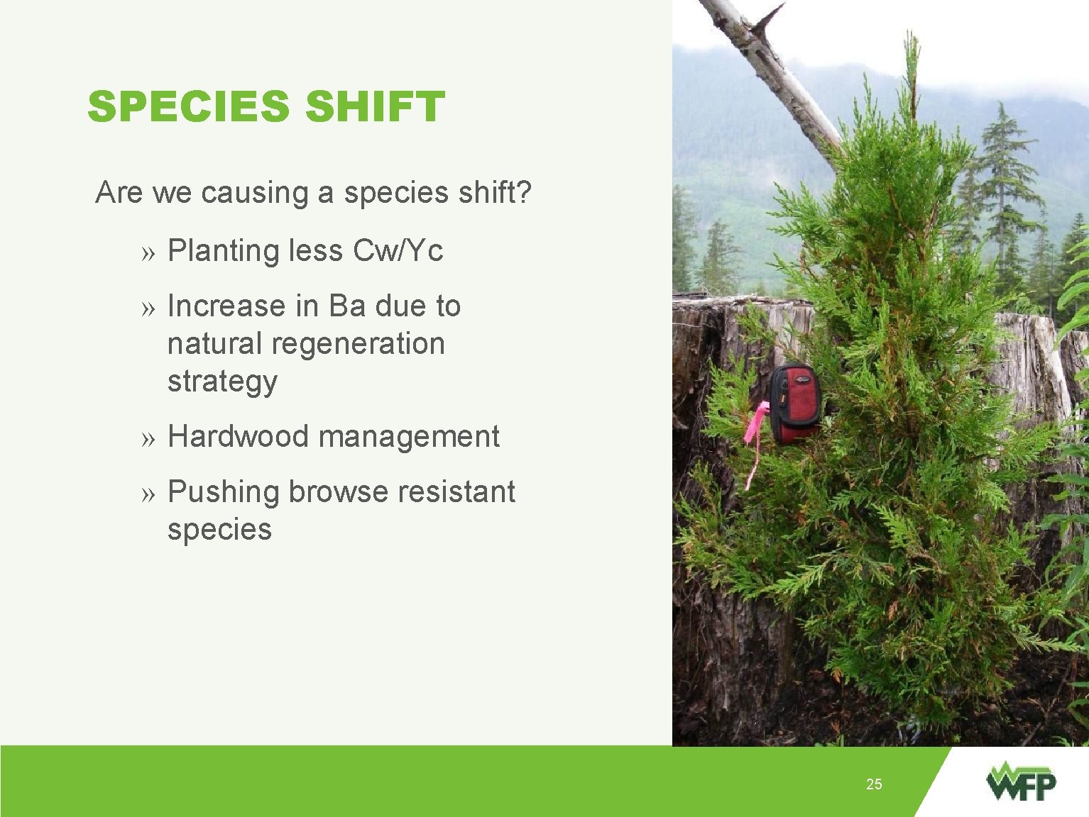 SPECIES SHIFT Are we causing a species shift? » Planting less Cw/Yc » Point: