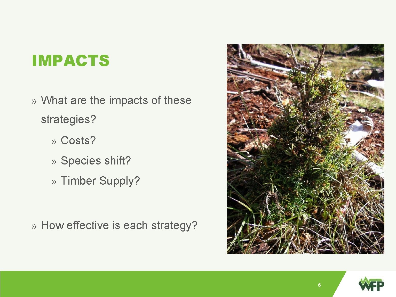 IMPACTS » What are the impacts of these strategies? » Point: » » Costs?