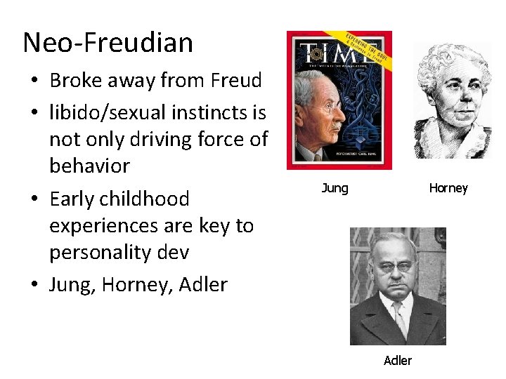 Neo-Freudian • Broke away from Freud • libido/sexual instincts is not only driving force