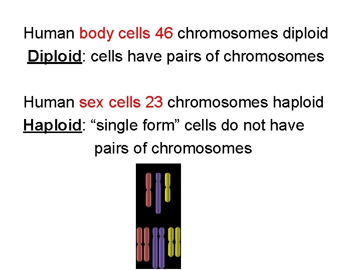 Human body cells 46 chromosomes diploid Diploid: cells have pairs of chromosomes Human sex