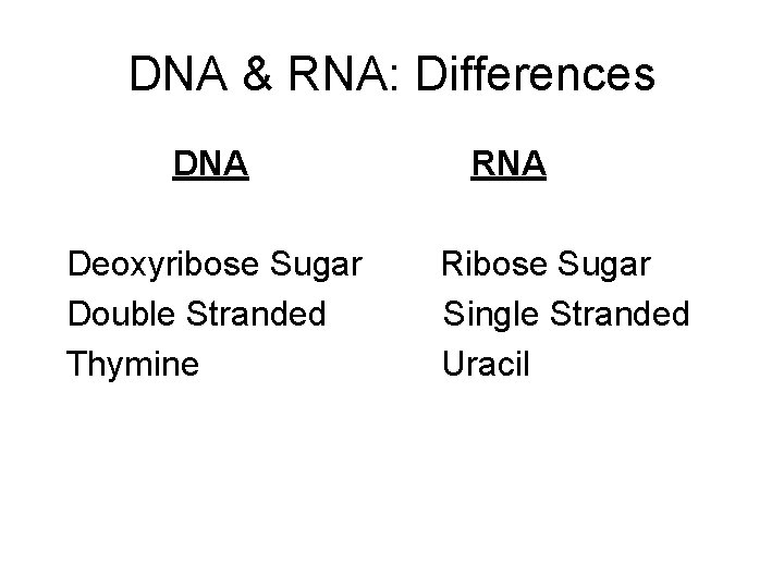 DNA & RNA: Differences DNA Deoxyribose Sugar Double Stranded Thymine RNA Ribose Sugar Single