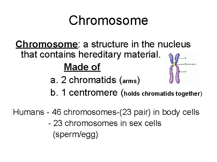 Chromosome: a structure in the nucleus that contains hereditary material. Made of a. 2