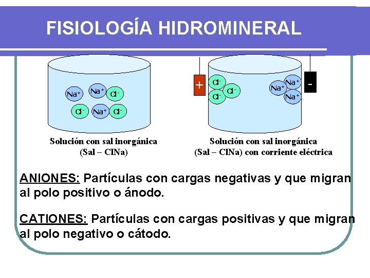 FISIOLOGÍA HIDROMINERAL Na+ Cl- + Cl. Cl- Na+ Cl- Solución con sal inorgánica (Sal