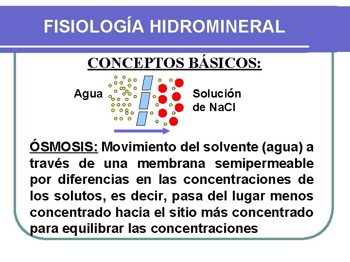 FISIOLOGÍA HIDROMINERAL CONCEPTOS BÁSICOS: Agua Solución de Na. Cl ÓSMOSIS: Movimiento del solvente (agua)