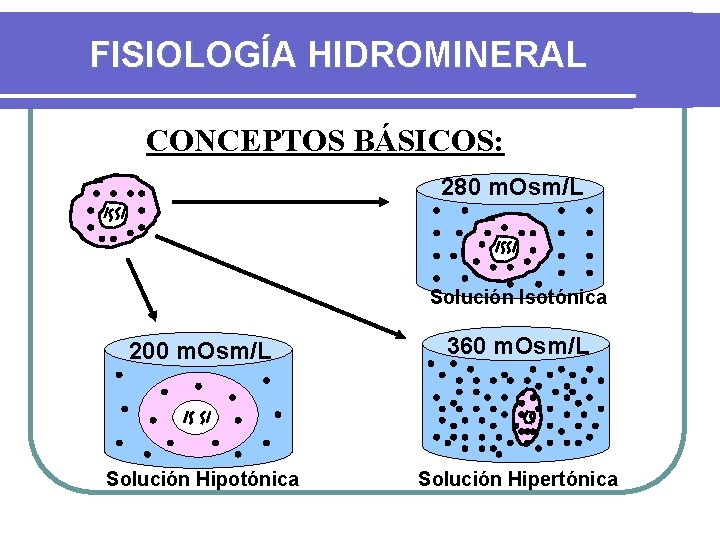 FISIOLOGÍA HIDROMINERAL CONCEPTOS BÁSICOS: 280 m. Osm/L Solución Isotónica 200 m. Osm/L 360 m.