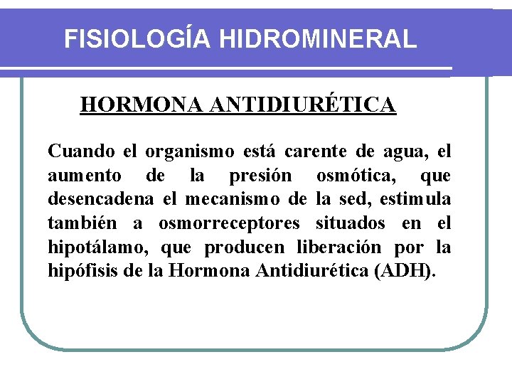FISIOLOGÍA HIDROMINERAL HORMONA ANTIDIURÉTICA Cuando el organismo está carente de agua, el aumento de