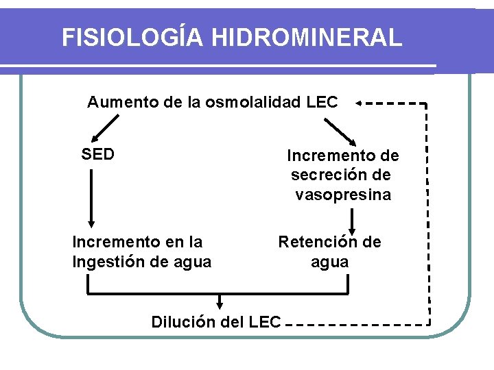 FISIOLOGÍA HIDROMINERAL Aumento de la osmolalidad LEC SED Incremento de secreción de vasopresina Incremento