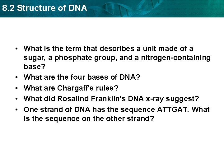 8. 2 Structure of DNA • What is the term that describes a unit