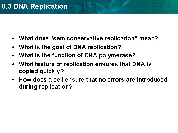 8. 3 DNA Replication • • What does "semiconservative replication" mean? What is the