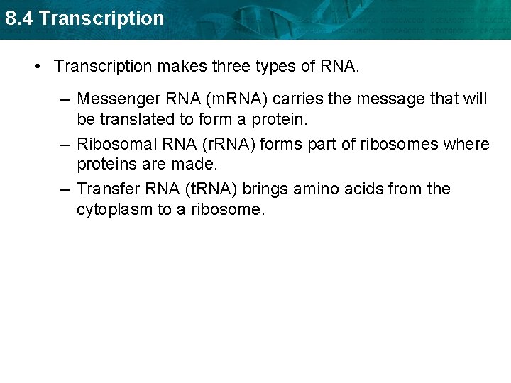 8. 4 Transcription • Transcription makes three types of RNA. – Messenger RNA (m.