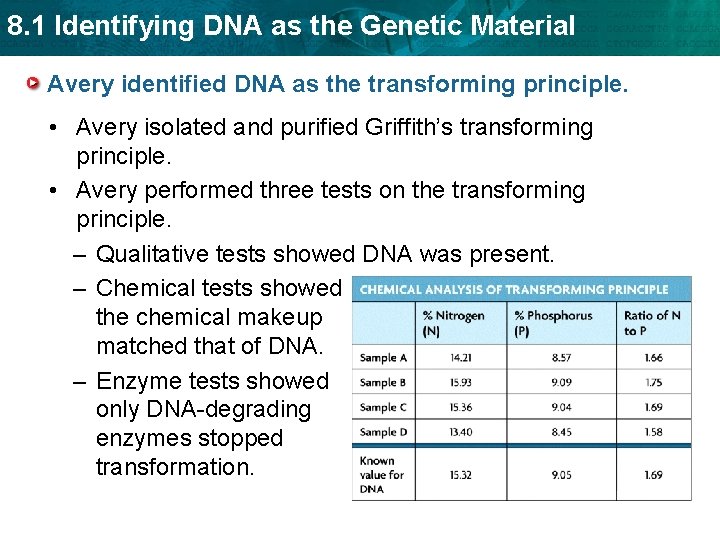 8. 1 Identifying DNA as the Genetic Material Avery identified DNA as the transforming
