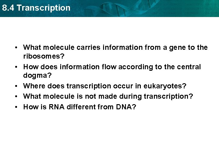 8. 4 Transcription • What molecule carries information from a gene to the ribosomes?