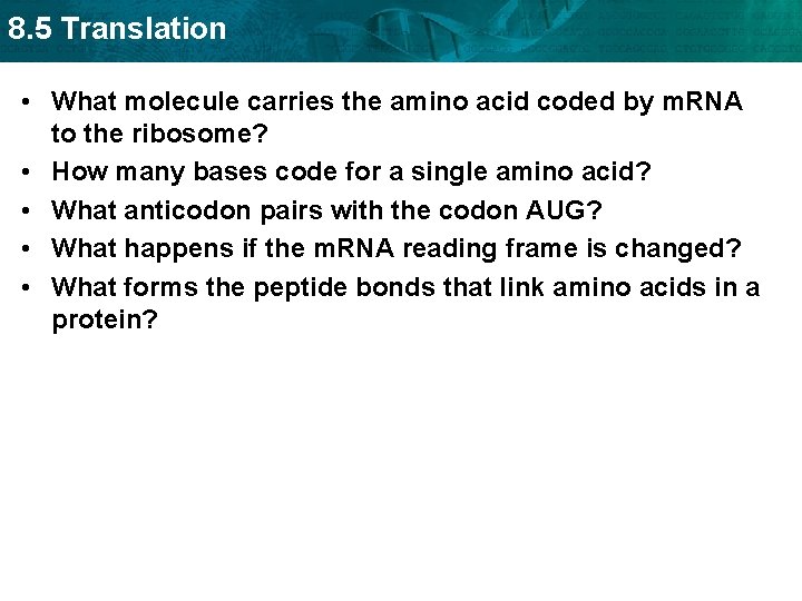 8. 5 Translation • What molecule carries the amino acid coded by m. RNA