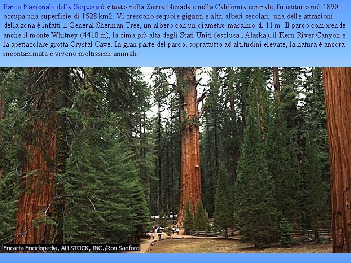 Parco Nazionale della Sequoia è situato nella Sierra Nevada e nella California centrale, fu