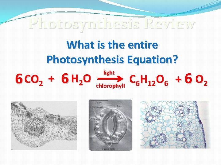 Photosynthesis Review What is the entire Photosynthesis Equation? 6 CO 2 + 6 H