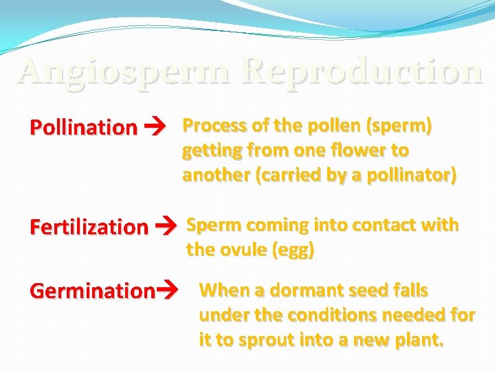 Angiosperm Reproduction Pollination Process of the pollen (sperm) getting from one flower to another