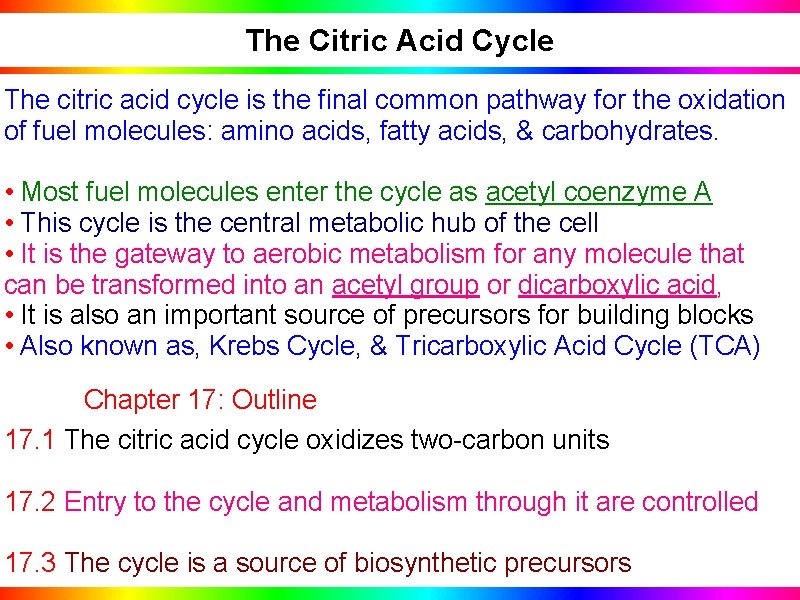 The Citric Acid Cycle The citric acid cycle is the final common pathway for