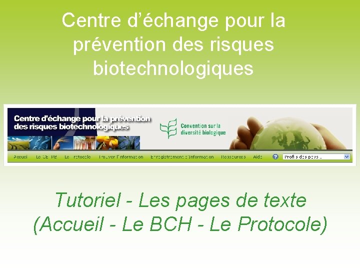 Centre d’échange pour la prévention des risques biotechnologiques Tutoriel - Les pages de texte