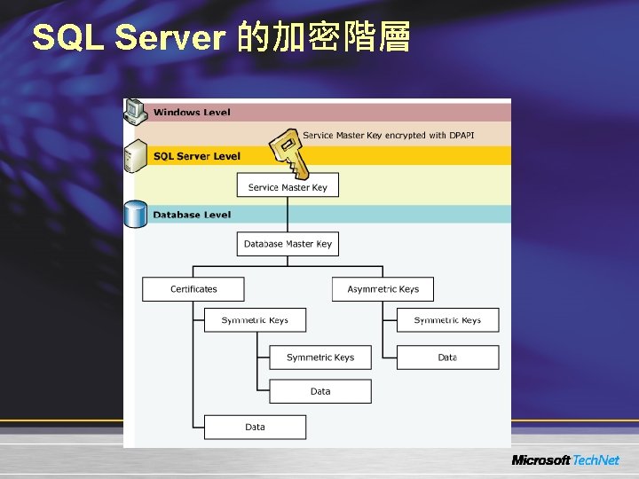 SQL Server 的加密階層 