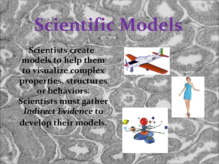 Scientific Models Scientists create models to help them to visualize complex properties, structures or
