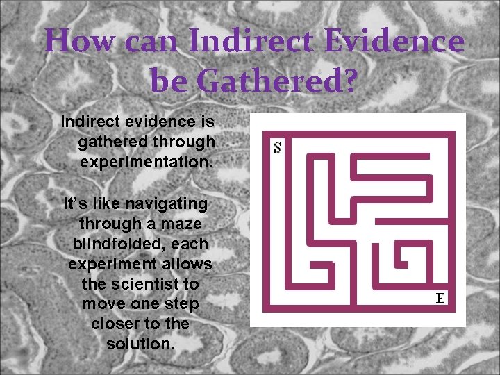 How can Indirect Evidence be Gathered? Indirect evidence is gathered through experimentation. It’s like