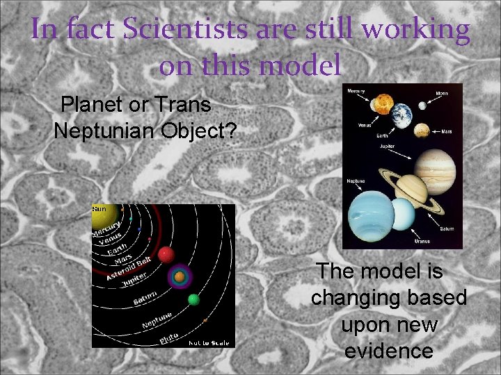 In fact Scientists are still working on this model Planet or Trans Neptunian Object?