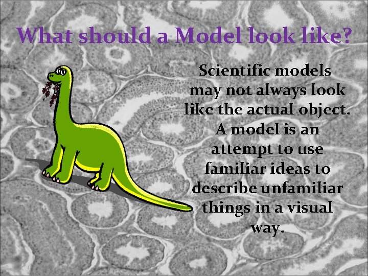 What should a Model look like? Scientific models may not always look like the
