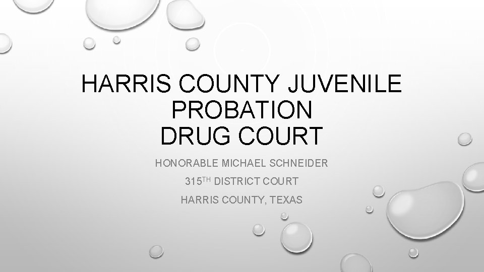 HARRIS COUNTY JUVENILE PROBATION DRUG COURT HONORABLE MICHAEL SCHNEIDER 315 TH DISTRICT COURT HARRIS