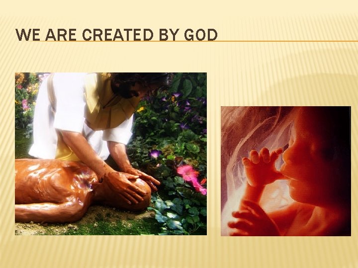 WE ARE CREATED BY GOD 