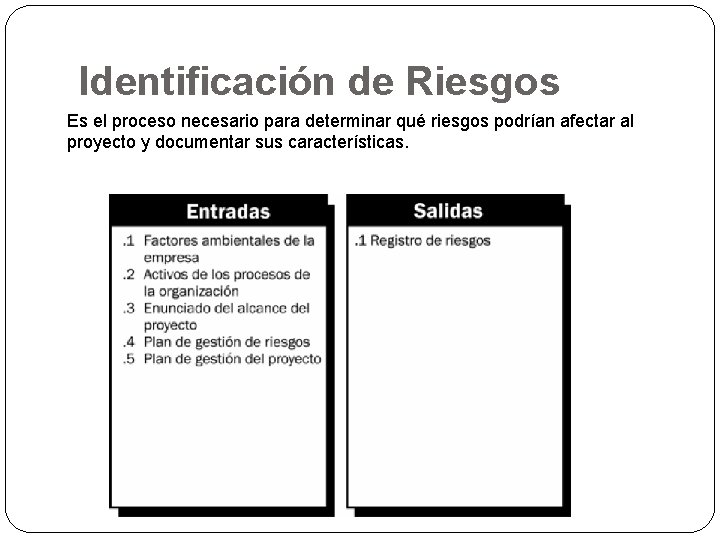 Identificación de Riesgos Es el proceso necesario para determinar qué riesgos podrían afectar al