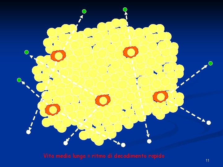 Vita media lunga = ritmo di decadimento rapido 11 