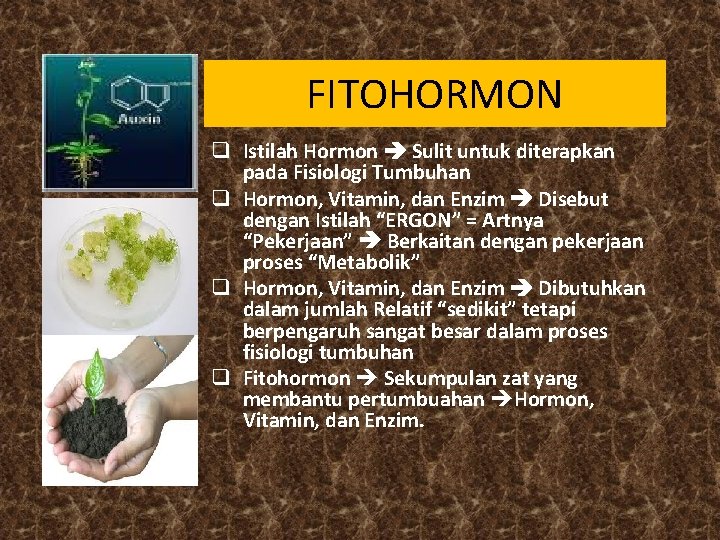 FITOHORMON q Istilah Hormon Sulit untuk diterapkan pada Fisiologi Tumbuhan q Hormon, Vitamin, dan