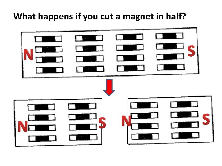 What happens if you cut a magnet in half? S N N S 
