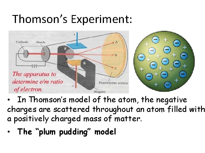 Thomson’s Experiment: • In Thomson’s model of the atom, the negative charges are scattered