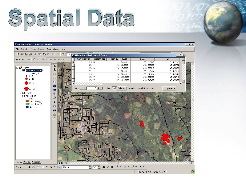 Spatial Data 