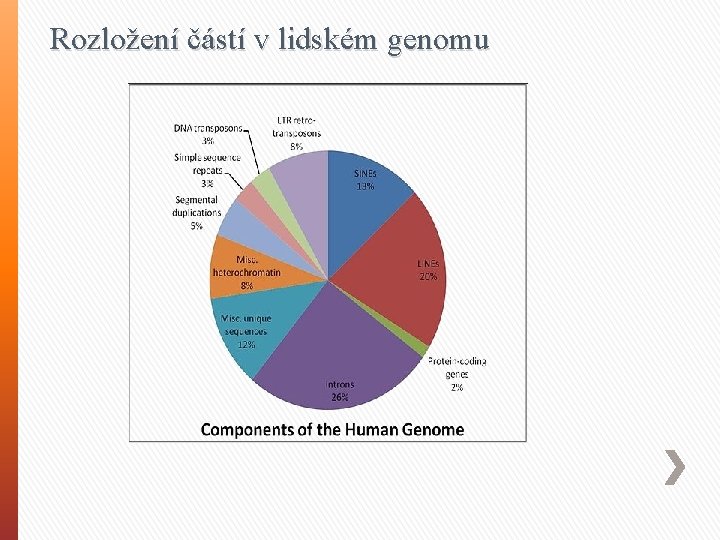 Rozložení částí v lidském genomu 