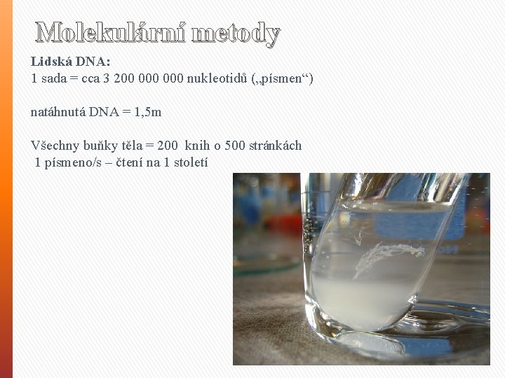 Molekulární metody Lidská DNA: 1 sada = cca 3 200 000 nukleotidů („písmen“) natáhnutá