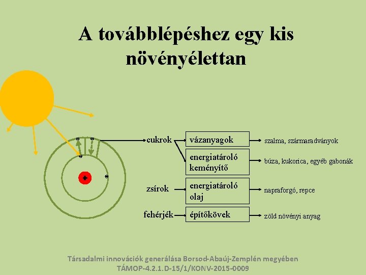 A továbblépéshez egy kis növényélettan cukrok zsírok fehérjék vázanyagok szalma, szármaradványok energiatároló keményítő búza,