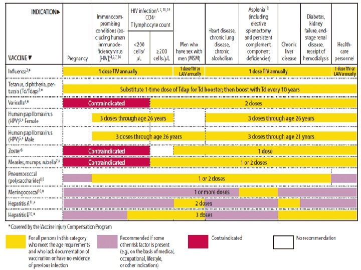 FIGURE 2. Vaccines that might be indicated for adults, based on medical and other