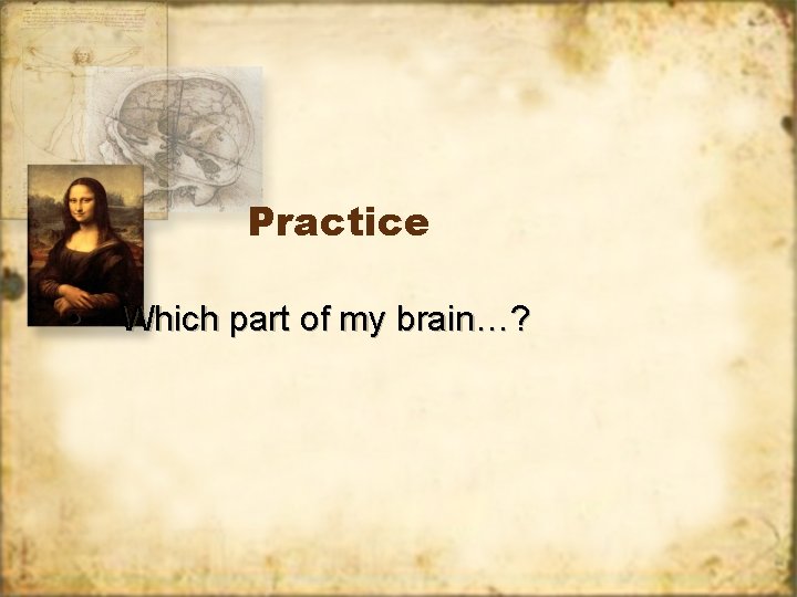 Practice • Which part of my brain…? 