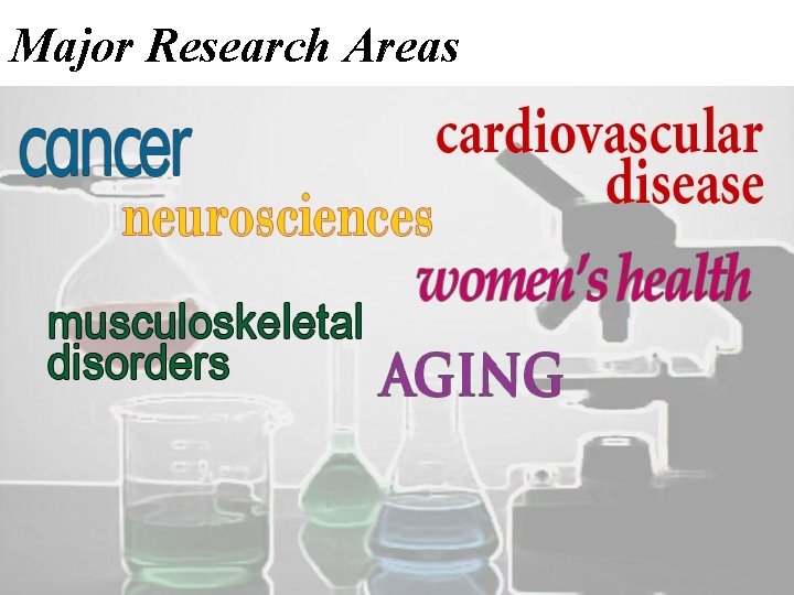 Major Research Areas 
