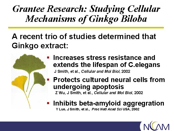 Grantee Research: Studying Cellular Mechanisms of Ginkgo Biloba A recent trio of studies determined