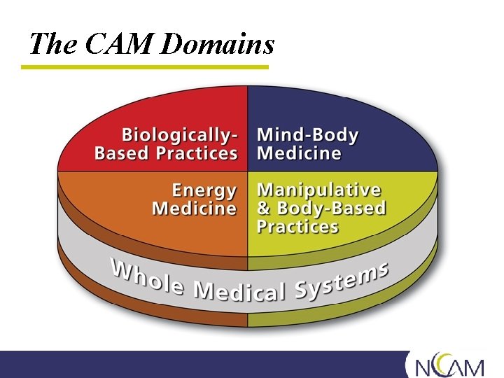 The CAM Domains 