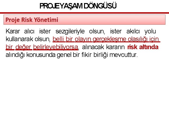 PROJEYAŞAM DÖNGÜSÜ Karar alıcı ister sezgileriyle olsun, ister akılcı yolu kullanarak olsun, belli bir