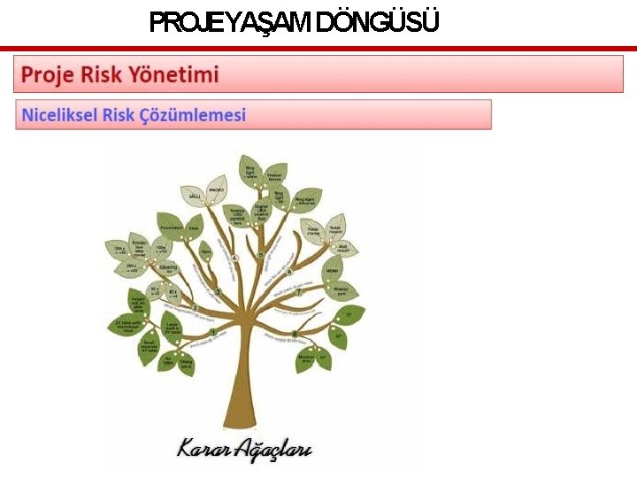 PROJEYAŞAM DÖNGÜSÜ 