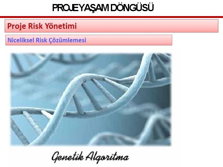 PROJEYAŞAM DÖNGÜSÜ 